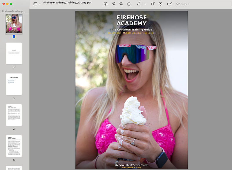 PDF Preview